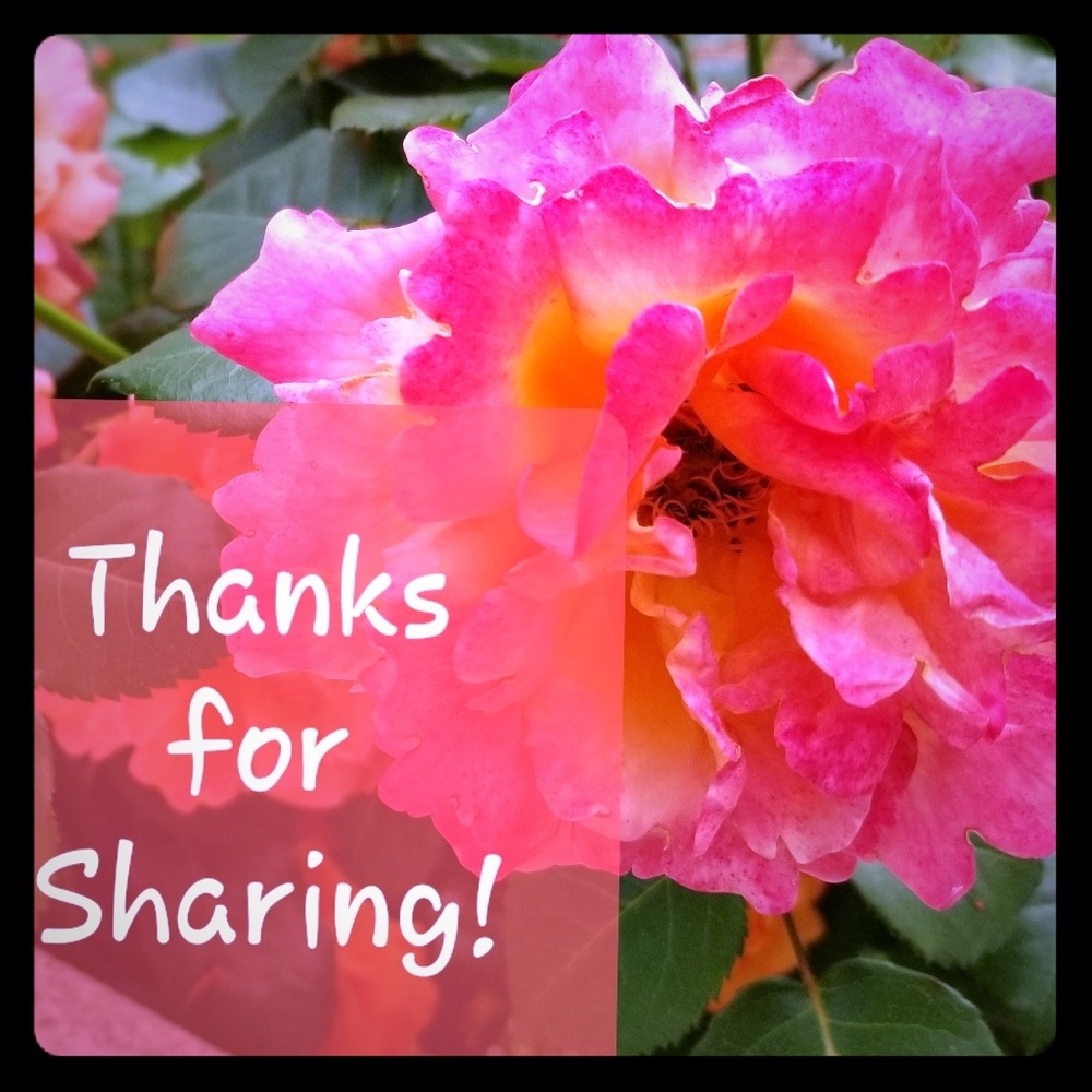 Thank you for sharing!
